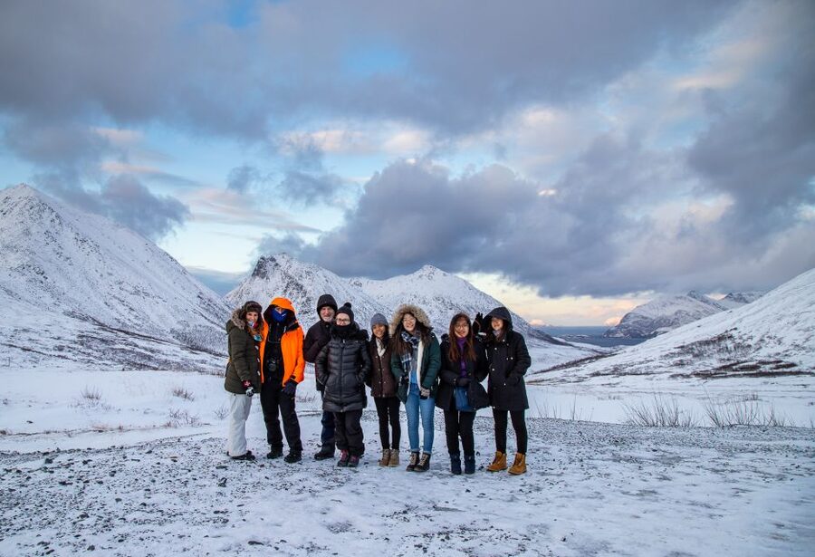 Arctic Nature Tour from Tromsø - Wildlife: wonderful when it happens, never promised