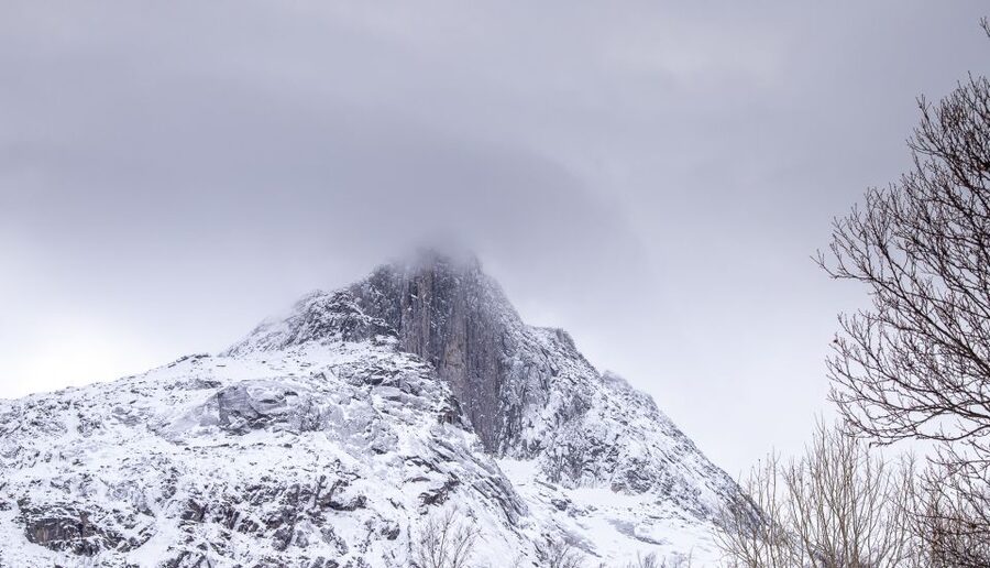 Arctic Nature Tour from Tromsø - Guide quality matters more than a fixed route