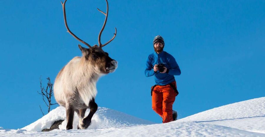 Arctic Nature Tour from Tromsø - Photography and the value of the included pictures
