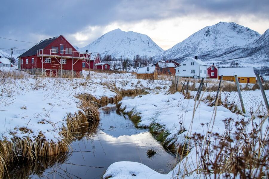 Arctic Nature Tour from Tromsø - Weather, timing, and the real Arctic experience