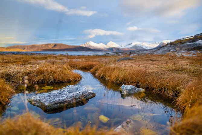 Arctic Nature Tour from Tromsø by minibus - The guides make or break the ride