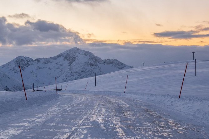 Arctic Nature Tour from Tromsø by minibus - How good is the value at $156.55?