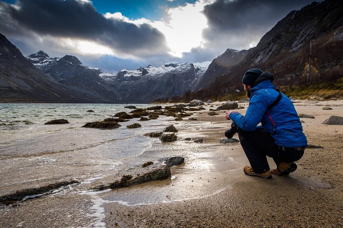 Arctic Nature Tour from Tromsø by minibus - Fjords, mountains, and changing Arctic light