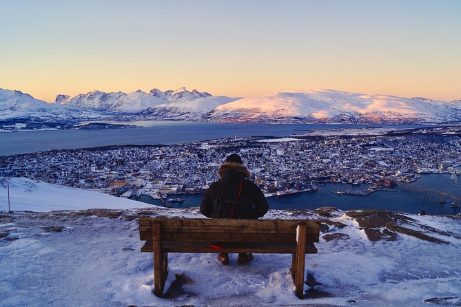 Arctic Panorama cable car excursion - What the guide adds, and what may be missing