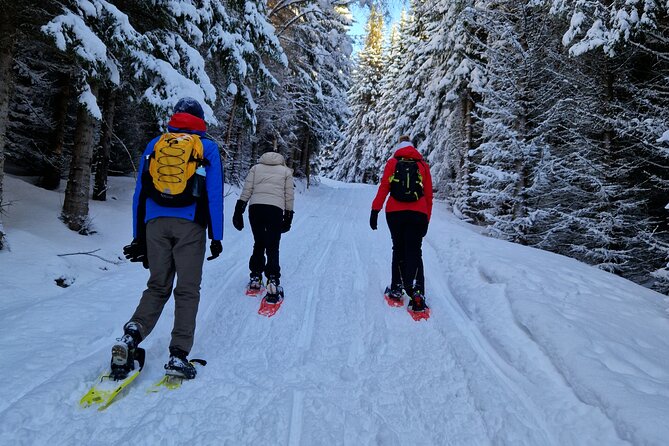 Arctic Snowshoe Hike in Norway - Starting at Clarion Hotel The Edge in Tromsø