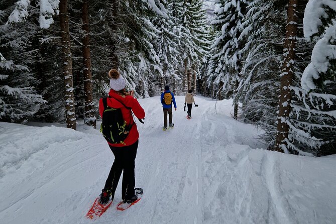 Arctic Snowshoe Hike in Norway - Guides who watch the cold closely
