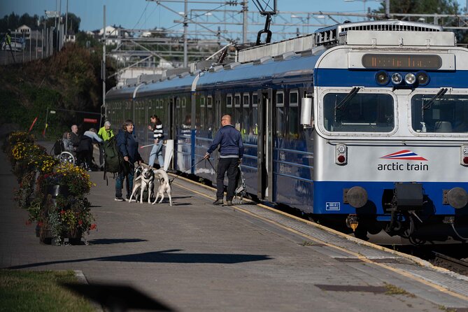 Arctic Train - The Northernmost Railway in Norway - Narvik Station and the Start of the Ofoten Line