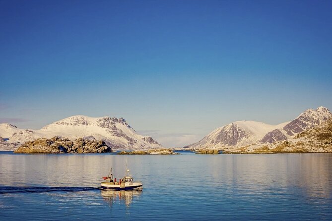 Arctic Wildlife and Fjord Sightseeing - A comfortable ride for Arctic roads