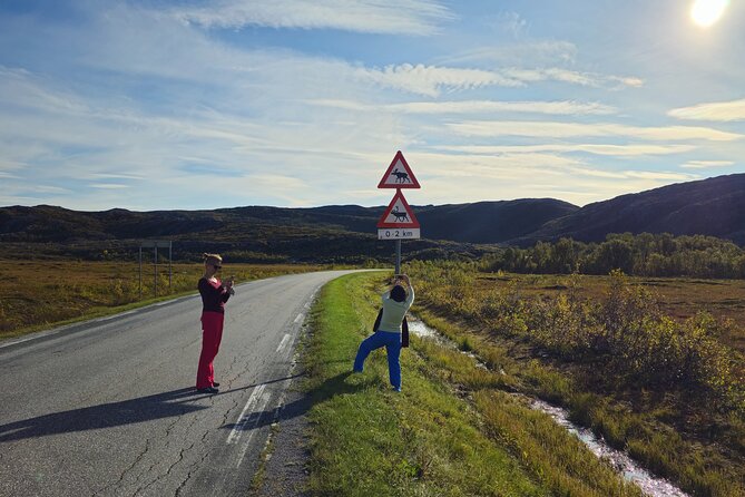 Arctic Wildlife and Fjord Sightseeing - Sandneshamn and the road toward Sommarøy