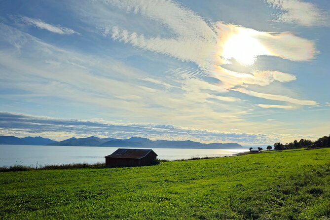 Arctic Wildlife and Fjord Sightseeing - Sommarøy, the clear highlight