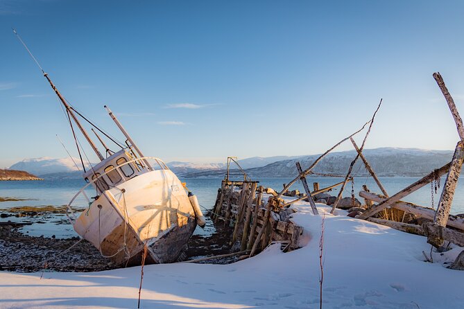 Arctic Wildlife and Fjord Sightseeing - Kaldfjorden and the first fjord views