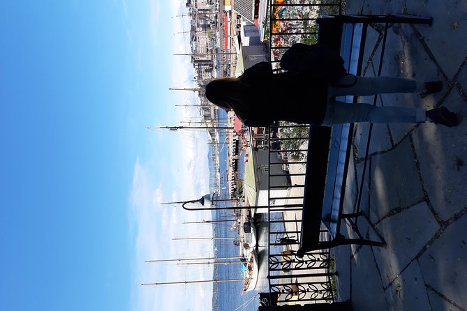 Art and Museum Tour of Oslo - A four-hour introduction to Oslo through art