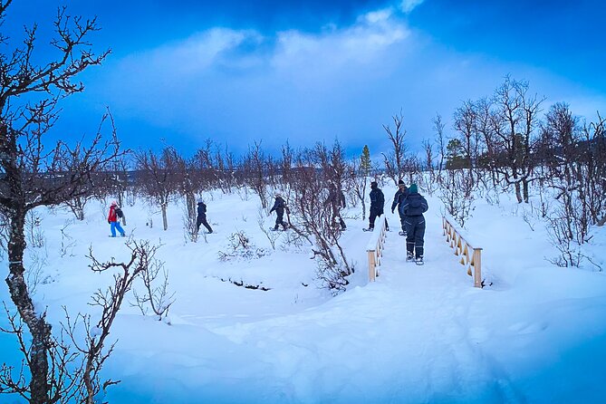 Aurora Crystal Lavvo Overnight with Activities from Tromsø - How good are the Northern Lights chances?