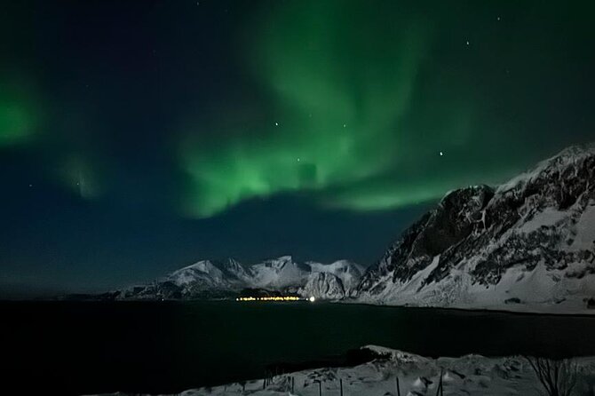AURORA DAİLY Northern Lights Safari Tour 8 Guests with PİCKUP - Is $290.10 fair for eight hours?