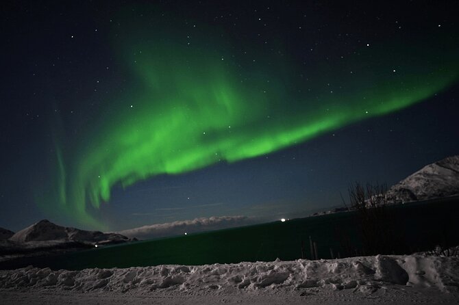 AURORA DAİLY Northern Lights Safari Tour 8 Guests with PİCKUP - The people who will enjoy this most
