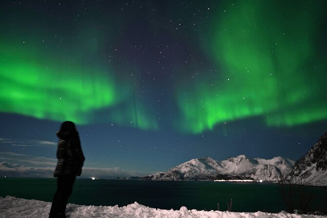 AURORA DAİLY Northern Lights Safari Tour 8 Guests with PİCKUP - Why live weather routing matters in Tromsø