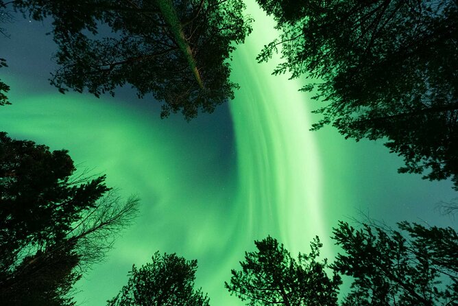 Aurora Hunt with Professional Photographer from Alta - Why this Alta Aurora hunt feels different