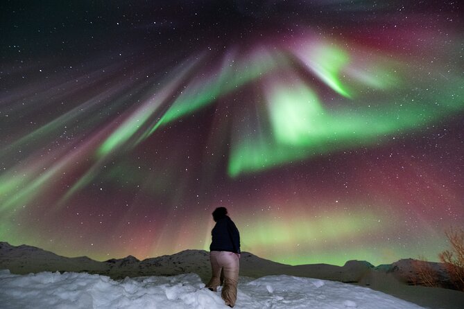 Aurora Hunt with Professional Photographer from Alta - Chasing clear skies instead of settling for one viewpoint
