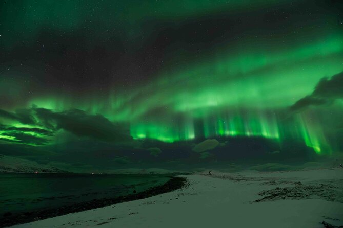 Aurora Hunt with Professional Photographer from Alta - Bonfire, hot food, and practical Arctic warmth