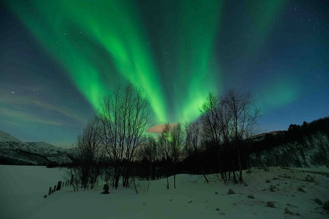 Aurora Hunt with Professional Photographer from Alta - The guides and the value of expert help