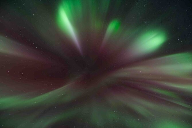 Aurora Hunt with Professional Photographer from Alta - Is the $1,145 price good value?