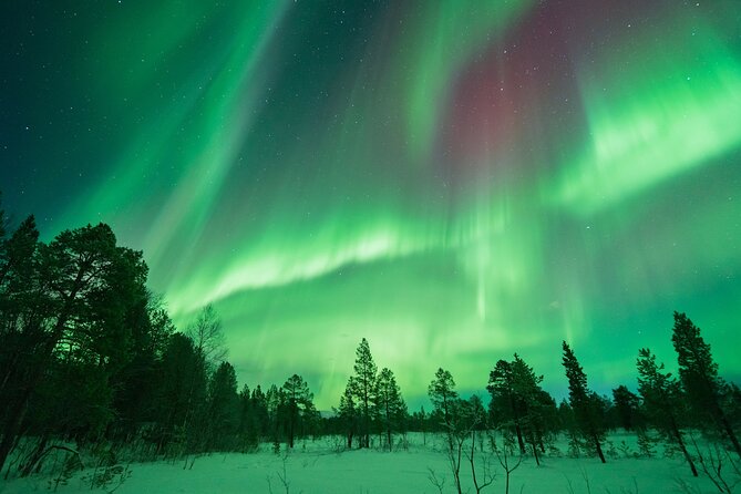 Aurora Hunt with the campfire and professional photographer - The campfire, soup, and warm drinks