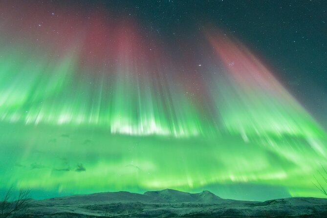 Aurora Hunt with the campfire and professional photographer - Is $182.47 a fair price?