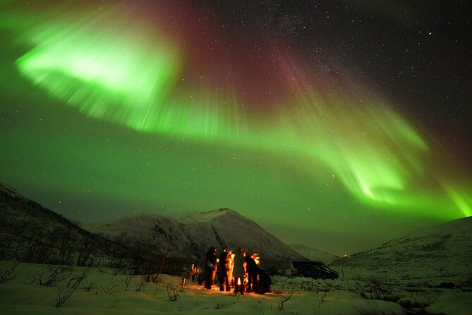 Aurora tour with free portrait and bonfire - What Past Nights Have Shown