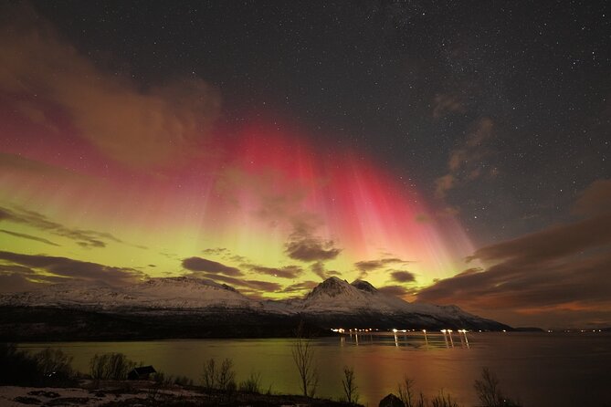 Aurora tour with free portrait and bonfire - The First Drive Through the Arctic Night