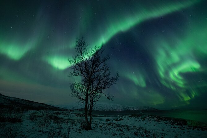 Auroras Hunt - Tour in Spanish, Northern Lights Chase in Spanish - Thermal Suits, Fire, and Reindeer Skins