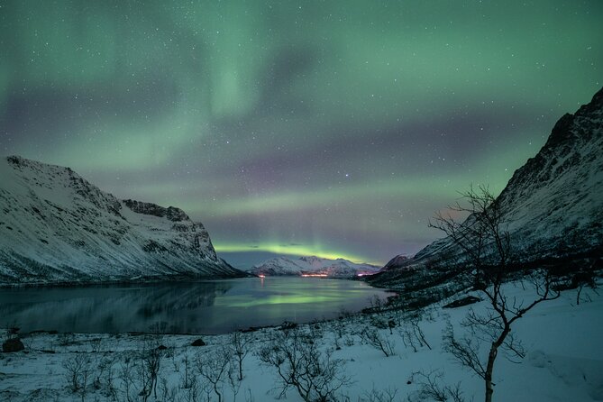 Auroras Hunt - Tour in Spanish, Northern Lights Chase in Spanish - Watching the Northern Lights Without False Promises