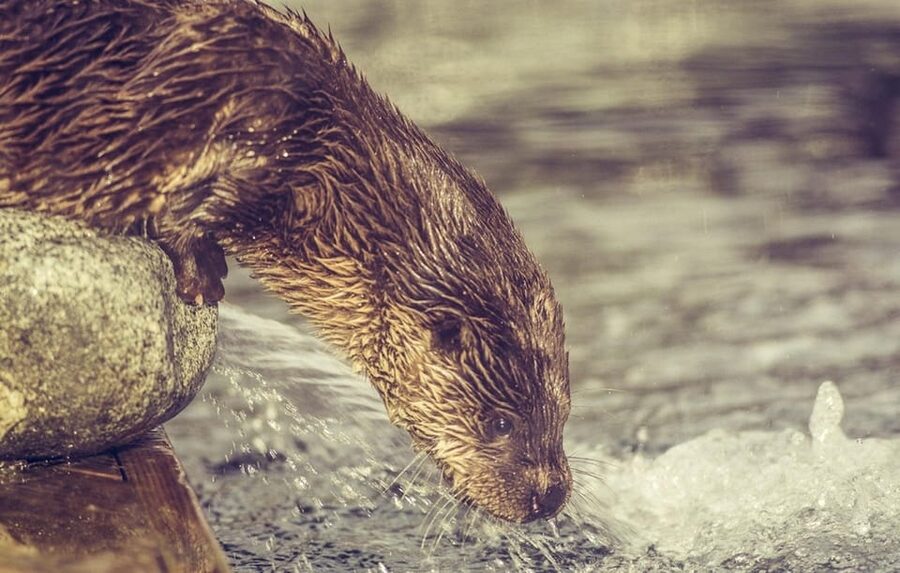 Bergen: Bergen Aquarium Entry Ticket - Key points to know before you go