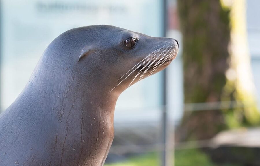 Bergen: Bergen Aquarium Entry Ticket - What the Bergen Aquarium visit is like