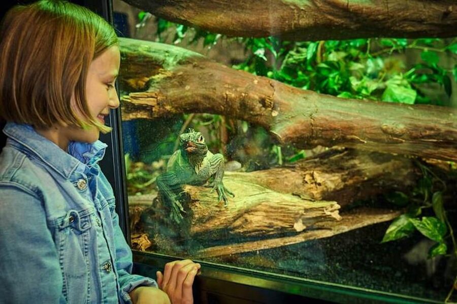 Bergen: Bergen Aquarium Entry Ticket - How the $40 ticket measures up