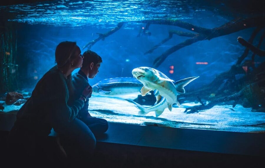 Bergen: Bergen Aquarium Entry Ticket - Starting with the Norwegian coast