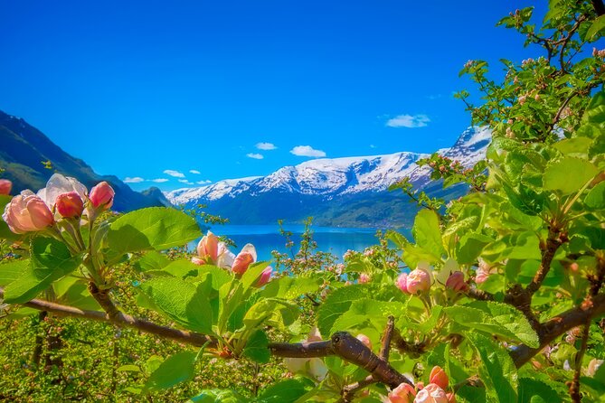 Bergen Beyond Day trip - Steinsdalsfossen is the day’s main attraction
