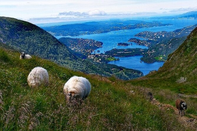 Bergen Classic Private hiking - What the guides add to the experience
