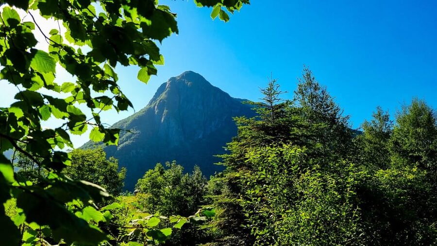 Bergen: Cruise to beautiful Rosendal by the Hardangerfjord - Is $91 good value?