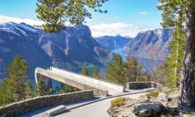 Bergen: Flam Railway, Stegastein and Fjord Cruise Day Tour - Five things to know before you book