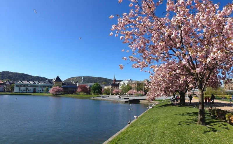 Bergen: Flam Railway, Stegastein and Fjord Cruise Day Tour - Who should book this experience?