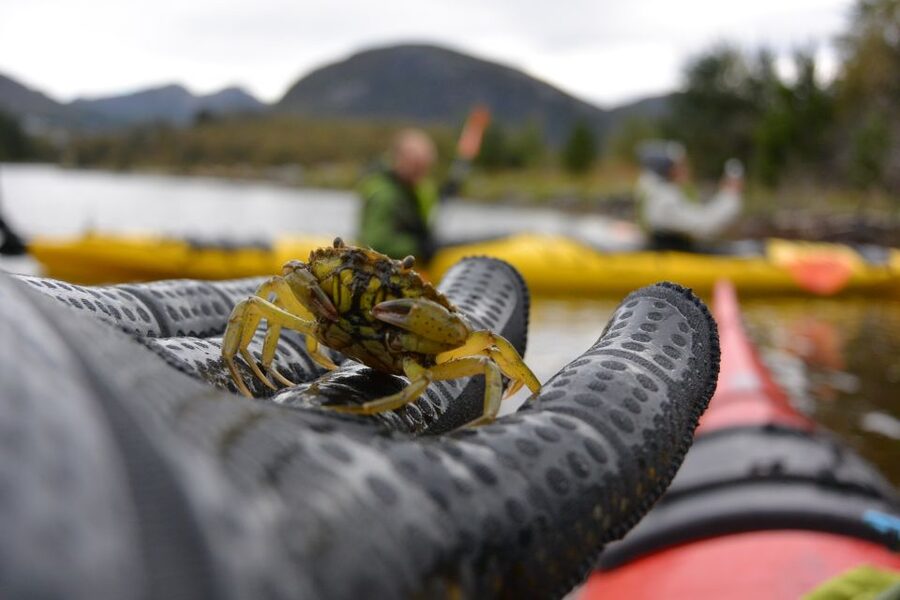 Bergen: Guided Fishing Tour with Outdoor Cooking - Who will enjoy this most