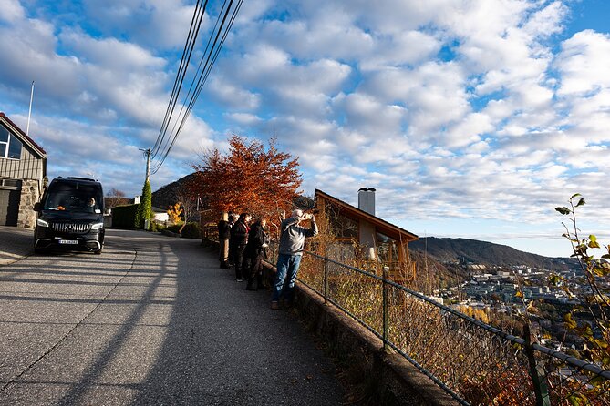 Bergen: Guided Tour by Minibus with Local Guide & Photostops - Churches, hospitals, and the university district