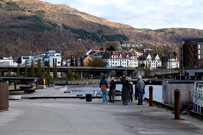Bergen: Guided Tour by Minibus with Local Guide & Photostops - Solheimsviken and the fjord shaped by modern Bergen