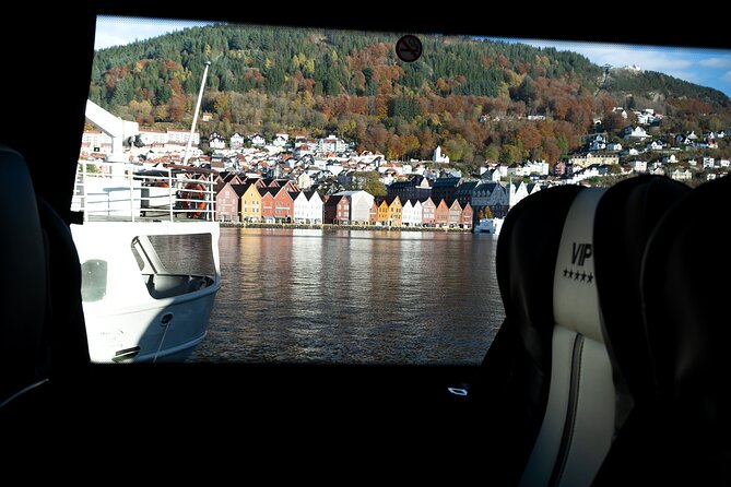 Bergen: Guided Tour by Minibus with Local Guide & Photostops - Skansen and the city’s old wooden neighborhoods