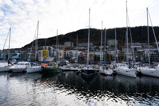 Bergen: Guided Tour by Minibus with Local Guide & Photostops - Starting beside Bergenhus Fortress