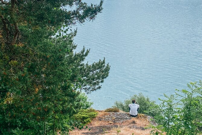 Bergen in a day, Guided tour: Old Town, Waterfalls & Waffles - Salthammeren’s 5,000-year-old carvings