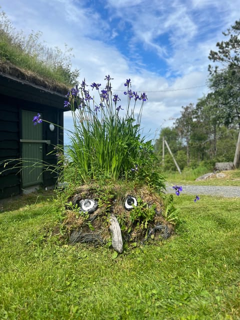 Bergen Magical Nature Tour | ViFlowExperience - Key points to know before booking