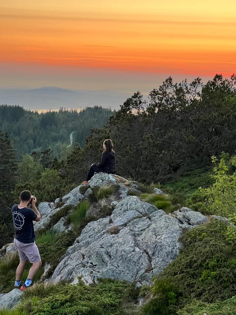 Bergen Magical Nature Tour | ViFlowExperience - Walking Fløyen’s forest paths for three and a half hours