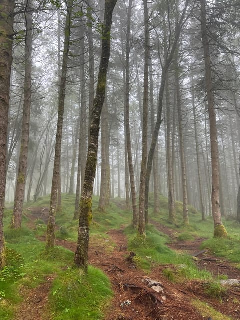 Bergen Magical Nature Tour | ViFlowExperience - Snacks and the High Altitude Drink