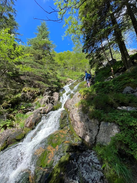 Bergen Magical Nature Tour | ViFlowExperience - Who will enjoy this Bergen experience most